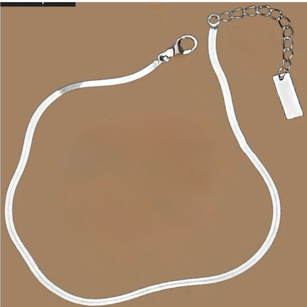 Women’s stainless steel anklet